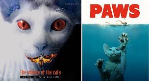 Тролли: Чудесный дом